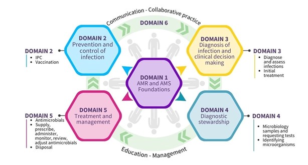 A diagram of the six domains of the framework and their subdomains: Domain 1: AMR and AMS foundations Domain 2: Prevention and control of infection (IPC; Vaccination) Domain 3: Diagnosis of infection and clinical decision making (Diagnose and assess infections; initial treatment} Domain 4: Diagnostic stewardship (Microbiology samples and requesting tests; Identifying microorganisms) Domain 5: Treatment and management (Antimicrobials; Supply, prescribe, administer, monitor, review, adjust antimicrobials) Domain 6: Communication - Collaborative practice - Education - Management